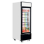 Tefcold Displaygefrierschrank LGF2500, Weiß, EEK C, Bild 2