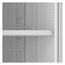 Tefcold Displaygefrierschrank FSF176VH B, Schwarz, EEK E, Bild 2