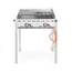 Hendi Grillsystem Green Fire mit 2 Brennern, Profi Line, Emaillierte Grillplatte und Grillrost aus Gusseisen GN 1/1, 11,6kW, 740x615x(H)825mm, Bild 3