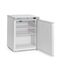 Arktic Budget Line Kühlschrank in weiß lackiertem Stahlgehäuse, Budget Line, Weiß, 230V/124W, 598x623x(H)838mm, Bild 7