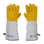 Hendi Leder-Grillhandschuhe hitzebeständig – 2 Stück, 2 Stk., (L)460mm, Bild 3