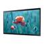 Samsung Smart LCD Signage QB24R-T (24") 60 cm Touch Display, Bild 2