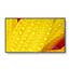 NEC MultiSync® ME651 LCD 65" Message Essential Large Format Display