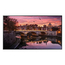 Samsung QB75R-B 75" Display, UHD, Bild 2