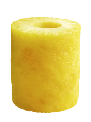 Zylinder Ananasschneider